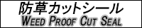 エムケービルド最新情報